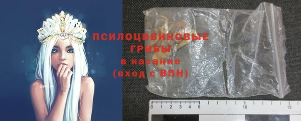 ГАЛЛЮЦИНОГЕННЫЕ ГРИБЫ Балабаново