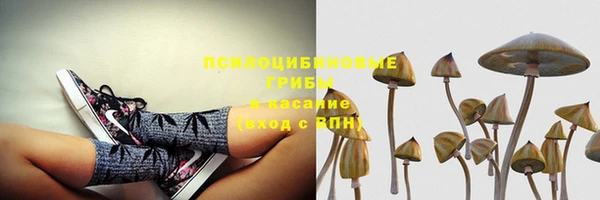 тгк Балахна