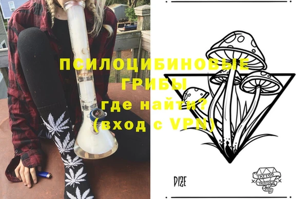 ГАЛЛЮЦИНОГЕННЫЕ ГРИБЫ Балабаново