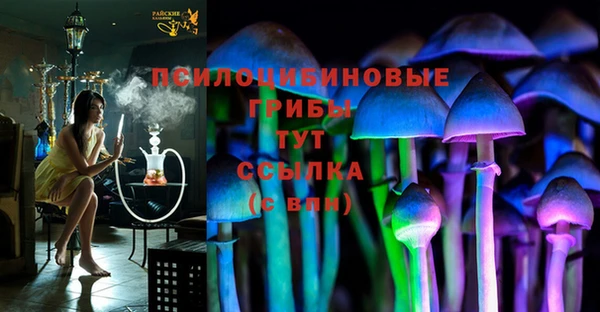ГАЛЛЮЦИНОГЕННЫЕ ГРИБЫ Балабаново